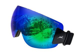 Occhiali da sci WS9140 Gamswild Snow Goggles